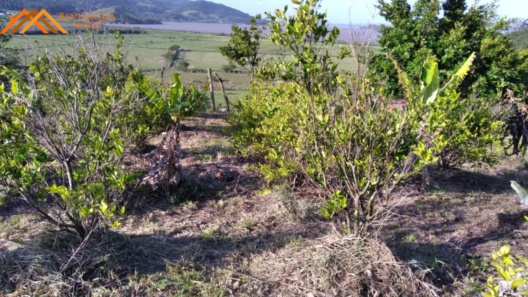 Imagem Terreno à Venda, 1.460 m² em Cangueri De Fora - Imaruí