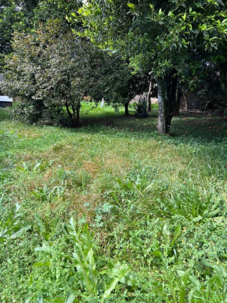 Imagem Terreno à Venda, 480 m² em Passo Dos Fortes - Chapecó Imagem Terreno à Venda, 480 m² em Passo Dos Fortes - Chapecó
