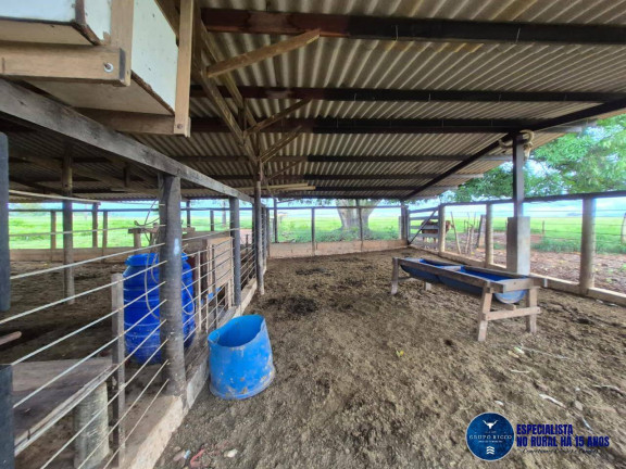 Imagem Chácara à Venda, 6 m² em Zona Rural - Hidrolândia Imagem Chácara à Venda, 6 m² em Zona Rural - Hidrolândia