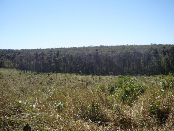 Imagem Fazenda à Venda, 777 m² em Rural - Lizarda Imagem Fazenda à Venda, 777 m² em Rural - Lizarda