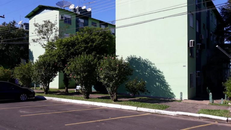 Imagem Apartamento com 2 Quartos à Venda, 41 m² em Mundo Novo - Novo Hamburgo