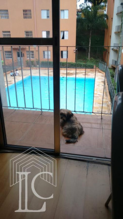 Imagem Apartamento com 2 Quartos à Venda, 58 m² em Campo Grande - São Paulo Imagem Apartamento com 2 Quartos à Venda, 58 m² em Campo Grande - São Paulo