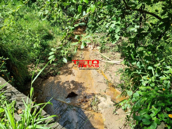 Imagem Imóvel com 3 Quartos à Venda,  em Zona Rural - Pouso Alto