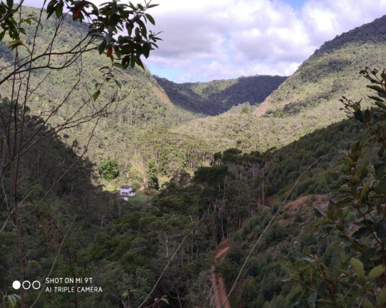 Imagem Imóvel à Venda, 2.500.000 m² em Fazenda Bela Vista - Nova Friburgo