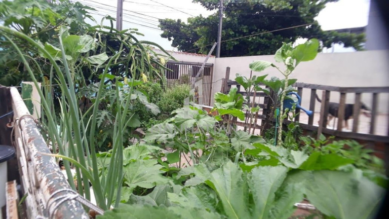 Imagem Casa com 3 Quartos à Venda, 150 m² em Parque Da Figueira - Campinas Imagem Casa com 3 Quartos à Venda, 150 m² em Parque Da Figueira - Campinas