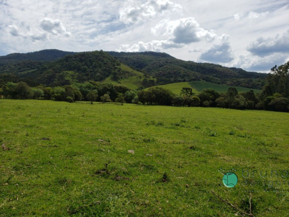 Imagem Imóvel à Venda, em Interior - Bom Retiro Imagem Imóvel à Venda, em Interior - Bom Retiro