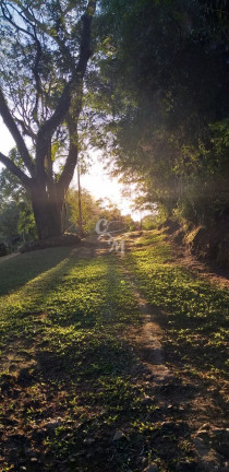 Imagem Imóvel com 5 Quartos à Venda, 24.000 m² em Pau Arcado - Campo Limpo Paulista Imagem Imóvel com 5 Quartos à Venda, 24.000 m² em Pau Arcado - Campo Limpo Paulista