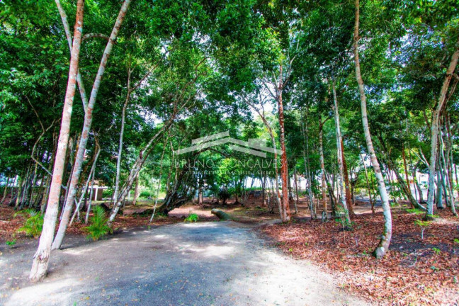 Imagem Terreno à Venda, 500 m² em Porto Seguro Imagem Terreno à Venda, 500 m² em Porto Seguro