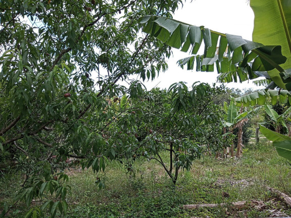 Imagem Casa à Venda, 36 m² em águas Claras - Viamão Imagem Casa à Venda, 36 m² em águas Claras - Viamão