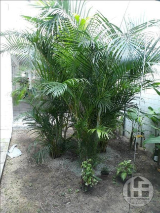 Imagem Apartamento com 1 Quarto à Venda, 39 m² em Madalena - Recife