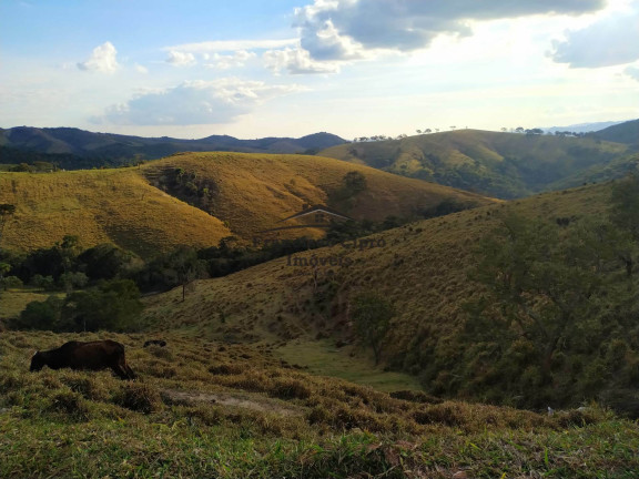Imagem Imóvel com 3 Quartos à Venda, 1.210.000 m² em Catioca - Cunha Imagem Imóvel com 3 Quartos à Venda, 1.210.000 m² em Catioca - Cunha