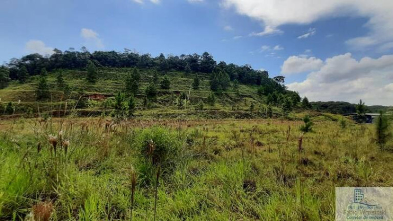 Terreno à Venda, 17.075 m² em Pirabeiraba (pirabeiraba) - Joinville