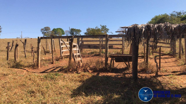 Imagem Chácara à Venda, 1 m² em Zona Rural - Itapuranga Imagem Chácara à Venda, 1 m² em Zona Rural - Itapuranga