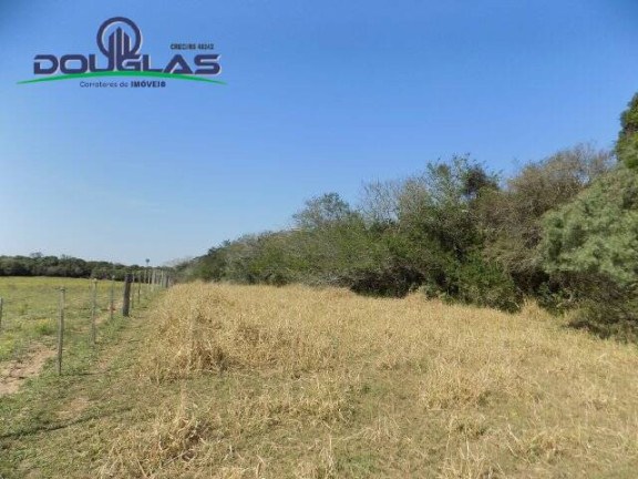 Imagem Chácara à Venda, 20.000 m² em águas Claras - Viamão