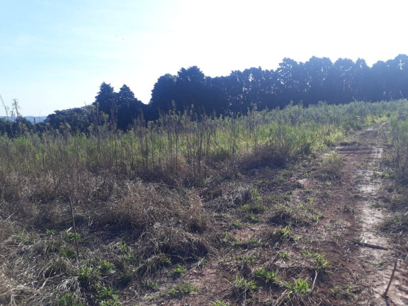 Imagem Terreno à Venda, 28.000 m² em Ortizes - Piedade Imagem Terreno à Venda, 28.000 m² em Ortizes - Piedade