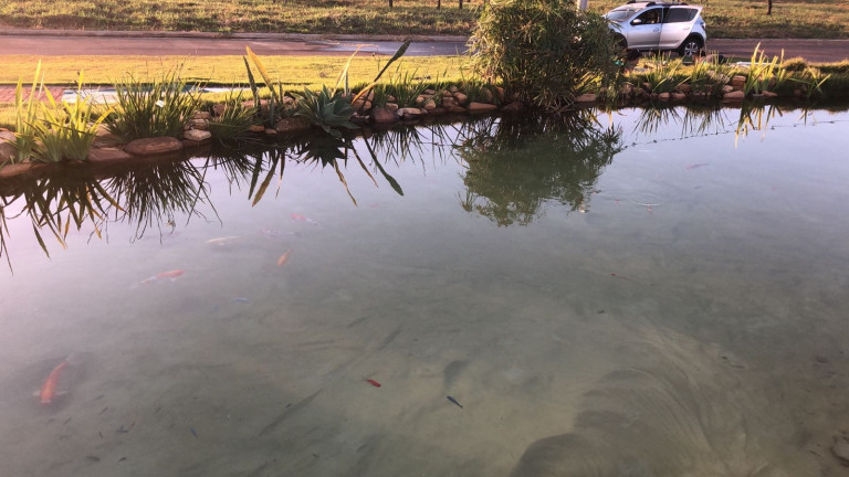 Imagem Terreno à Venda, 1.000 m² em Estância Vargem Bonita - Senador Canedo