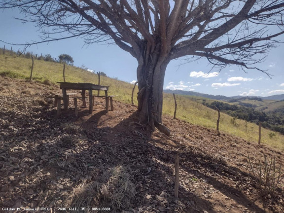 Imagem Chácara à Venda, 44.800 m² em Santo Antônio De Caldas - Caldas Imagem Chácara à Venda, 44.800 m² em Santo Antônio De Caldas - Caldas