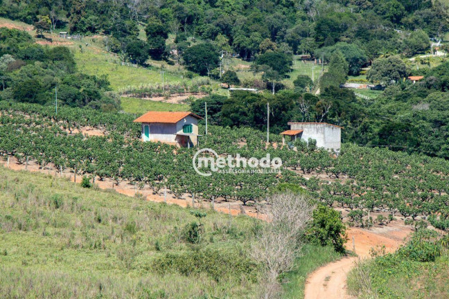 Imagem Imóvel à Venda, 56.785 m² em Feital - Morungaba Imagem Imóvel à Venda, 56.785 m² em Feital - Morungaba
