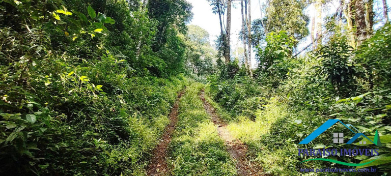 Imagem Chácara à Venda, 81 m² em Centro - Gonçalves Imagem Chácara à Venda, 81 m² em Centro - Gonçalves