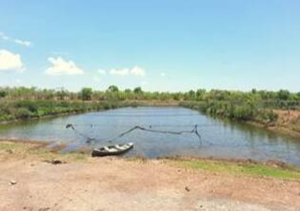 Imagem Fazenda à Venda, 1.357 m² em Jangada Imagem Fazenda à Venda, 1.357 m² em Jangada