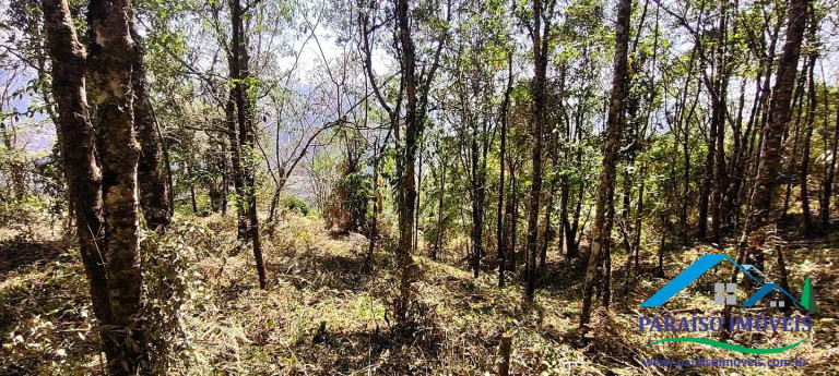 Imagem Chácara à Venda, 49 m² em Centro - Gonçalves