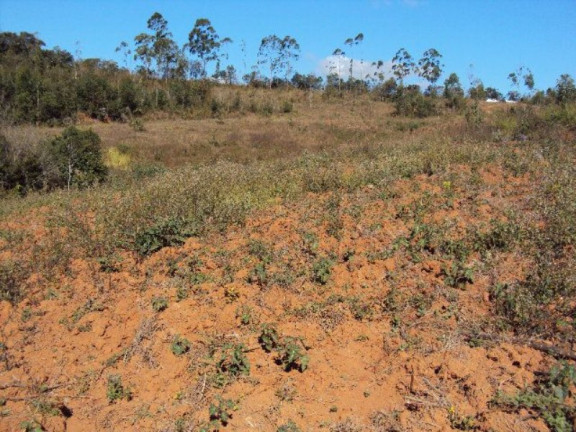 Imagem Imóvel com 2 Quartos à Venda, 266.200 m² em Zona Rural - Jacui