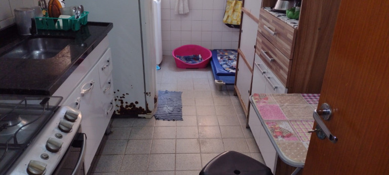 Imagem Apartamento com 3 Quartos à Venda, 65 m² em Vila Emir - São Paulo