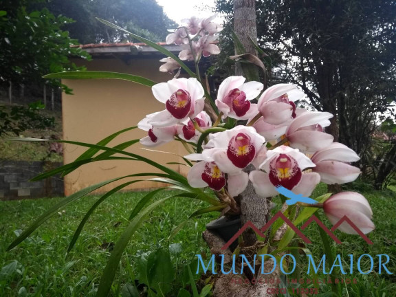 Imagem Chácara com 3 Quartos à Venda, 3.200 m² em Club Dos Oficiais -suzano-sp - Suzano Imagem Chácara com 3 Quartos à Venda, 3.200 m² em Club Dos Oficiais -suzano-sp - Suzano