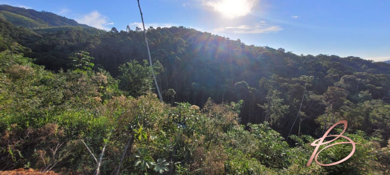 Imagem Imóvel com 2 Quartos à Venda, 40.000 m² em Ilhota - Ilhota