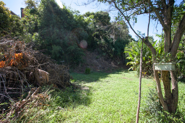 Imagem Terreno à Venda, em Vila Mirante - São Paulo Imagem Terreno à Venda, em Vila Mirante - São Paulo