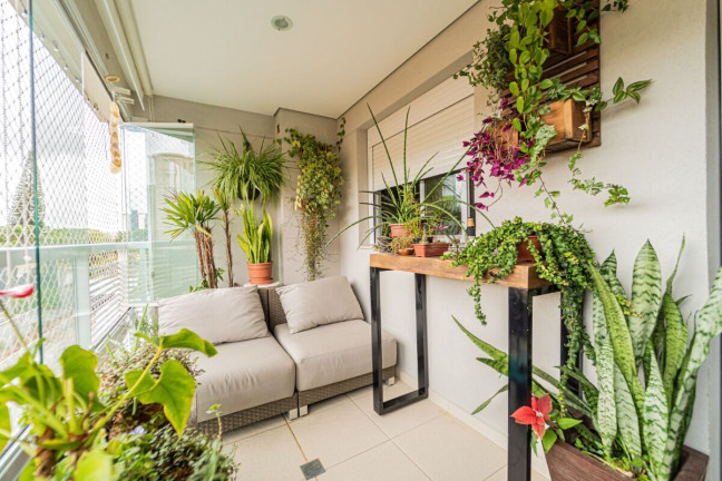 Imagem Apartamento com 3 Quartos à Venda, 103 m² em Vila Mascote - São Paulo