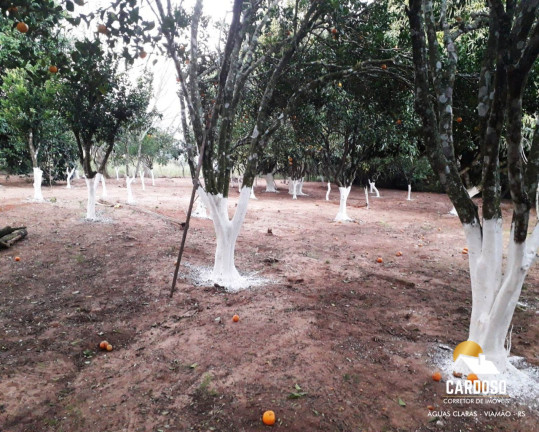 Imagem Imóvel com 5 Quartos à Venda, 50.000 m² em águas Claras - Viamão