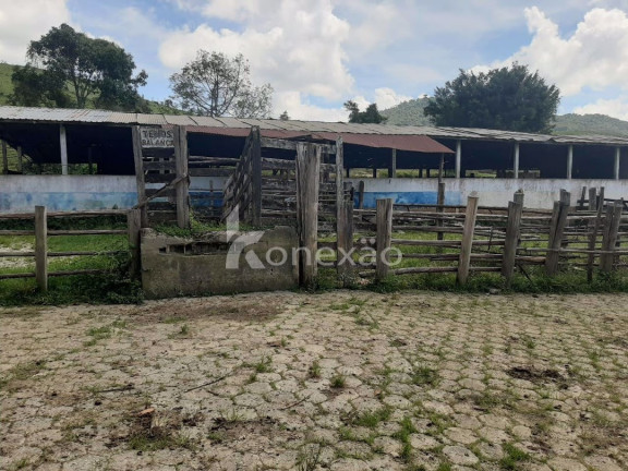Imagem Fazenda à Venda, 600 m² em Pouso Alto - Natividade Da Serra Imagem Fazenda à Venda, 600 m² em Pouso Alto - Natividade Da Serra