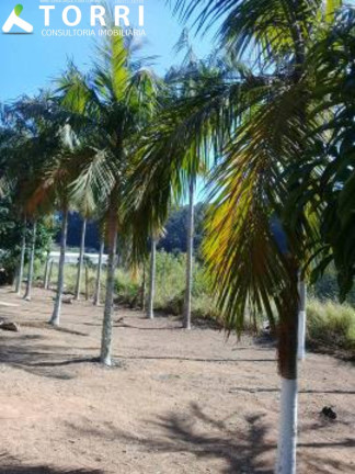 Imagem Imóvel com 4 Quartos à Venda, 200 m² em Centro - Piedade Imagem Imóvel com 4 Quartos à Venda, 200 m² em Centro - Piedade