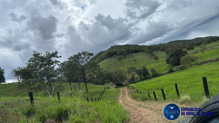 Imagem Fazenda à Venda, 375 m² em Zona Rural - Estrela Do Norte Imagem Fazenda à Venda, 375 m² em Zona Rural - Estrela Do Norte
