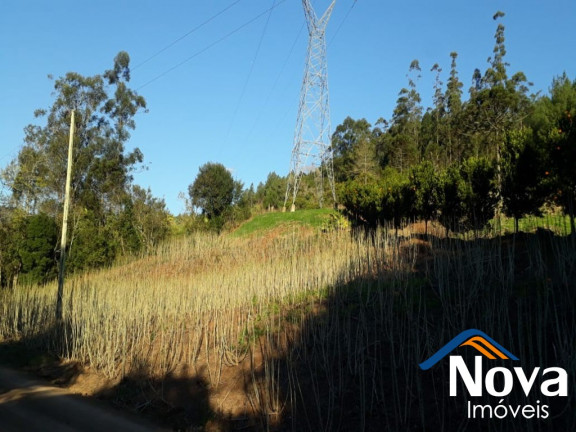 Imagem Imóvel à Venda, 60.000 m² em Linha Riachuelo - Nova Petrópolis Imagem Imóvel à Venda, 60.000 m² em Linha Riachuelo - Nova Petrópolis