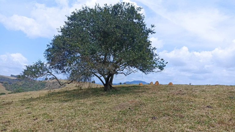 Imagem Chácara com 1 Quarto à Venda, 10 m² em Capim Da Angola - Paraibuna