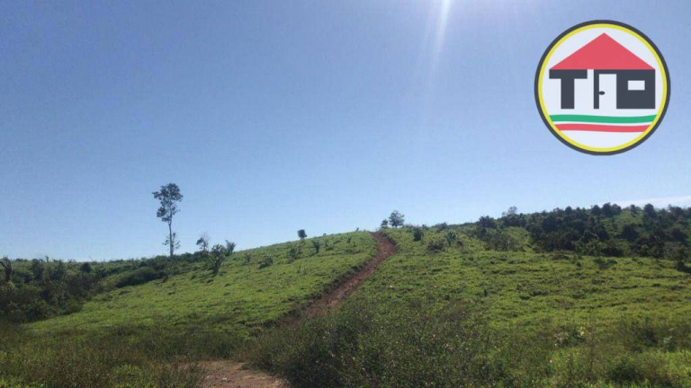 Imagem Fazenda à Venda, 8.131.200 m² em Logradouro Sem Nome, Novo Repartimento - Pa, 68473-000, Brasil -4.759492, -49.588326 - Novo Repartimento Imagem Fazenda à Venda, 8.131.200 m² em Logradouro Sem Nome, Novo Repartimento - Pa, 68473-000, Brasil -4.759492, -49.588326 - Novo Repartimento