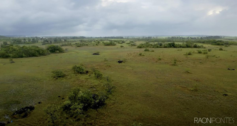 Imagem Fazenda à Venda, 5.800 m² em Zona Rural Imagem Fazenda à Venda, 5.800 m² em Zona Rural
