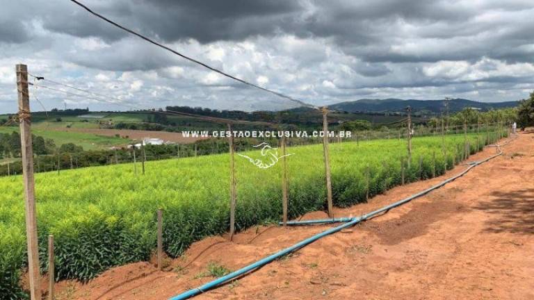 Imagem Chácara à Venda, 121.000 m² em Campinho - Bragança Paulista