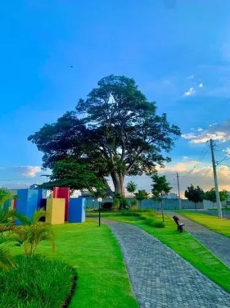 Imagem Terreno à Venda, 250 m² em Residencial Jardim Do Jatobá - Hortolândia Imagem Terreno à Venda, 250 m² em Residencial Jardim Do Jatobá - Hortolândia