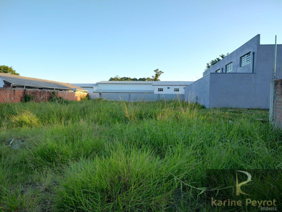 Imagem Terreno à Venda, 722 m² em Arroio Da Manteiga - São Leopoldo
