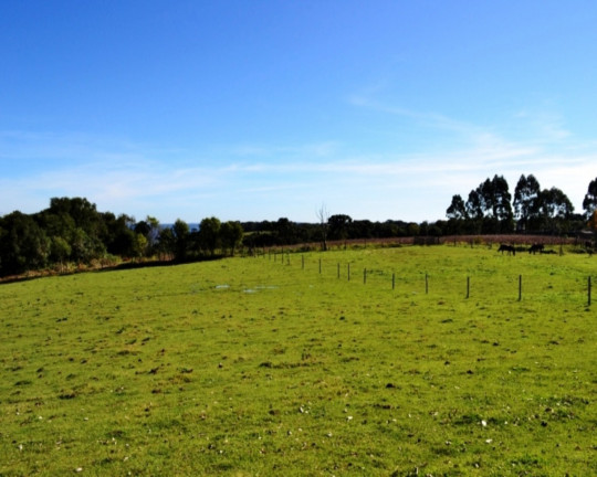 Imagem Imóvel à Venda, 4.000 m² em Linha Imperial - Nova Petrópolis Imagem Imóvel à Venda, 4.000 m² em Linha Imperial - Nova Petrópolis