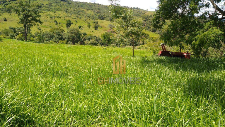 Imagem Chácara à Venda, 290.400 m² em Barro Alto - Barro Alto Imagem Chácara à Venda, 290.400 m² em Barro Alto - Barro Alto