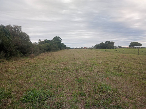 Imagem Chácara com 2 Quartos à Venda, 20.000 m² em águas Claras - Viamão