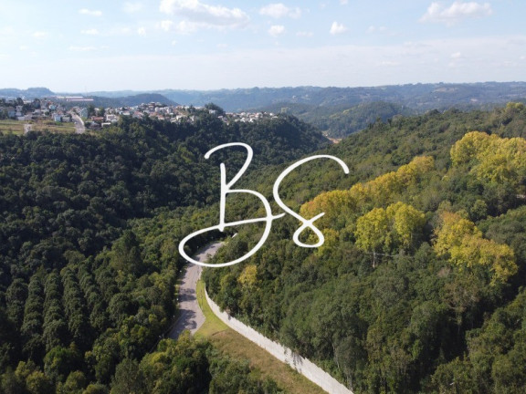 Imagem Terreno à Venda, 3.900 m² em Santo Antão - Bento Gonçalves Imagem Terreno à Venda, 3.900 m² em Santo Antão - Bento Gonçalves