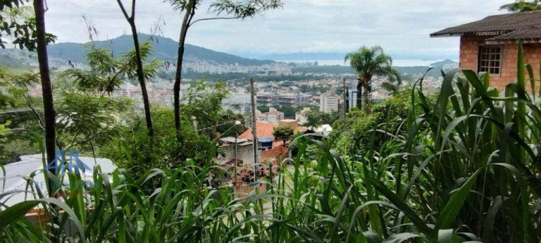 Imagem Terreno à Venda, 471 m² em Córrego Grande - Florianópolis