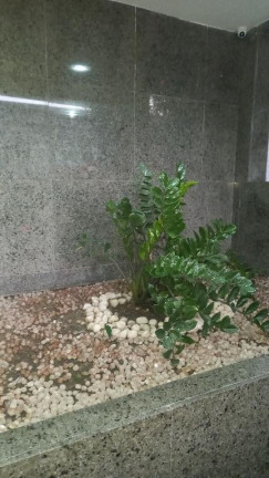 Imagem Apartamento com 4 Quartos à Venda, 190 m² em Torreão - Recife