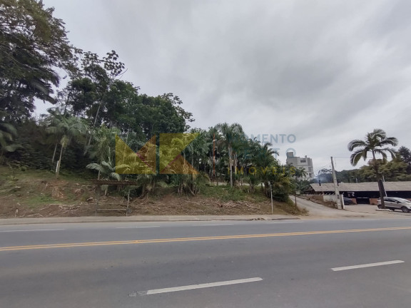 Imóvel à Venda, 1.312 m² em Badenfurt - Blumenau