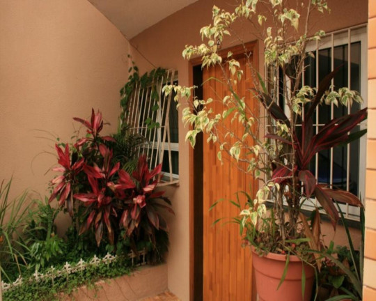 Imagem Casa com 3 Quartos à Venda, 108 m² em Cambuci - São Paulo Imagem Casa com 3 Quartos à Venda, 108 m² em Cambuci - São Paulo